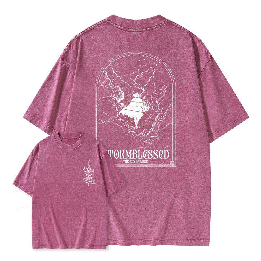Pagewings Stormblessed Unisex Washed T-shirt