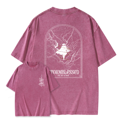 Pagewings Stormblessed Unisex Washed T-shirt