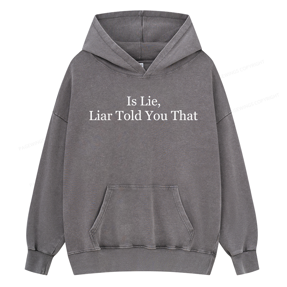 Pagewings Is Lie Liar Told You That Unisex Washed Hoodie