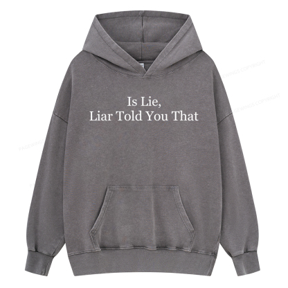 Pagewings Is Lie Liar Told You That Unisex Washed Hoodie