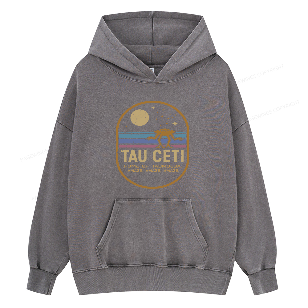 Pagewings Amaze Unisex Washed Hoodie