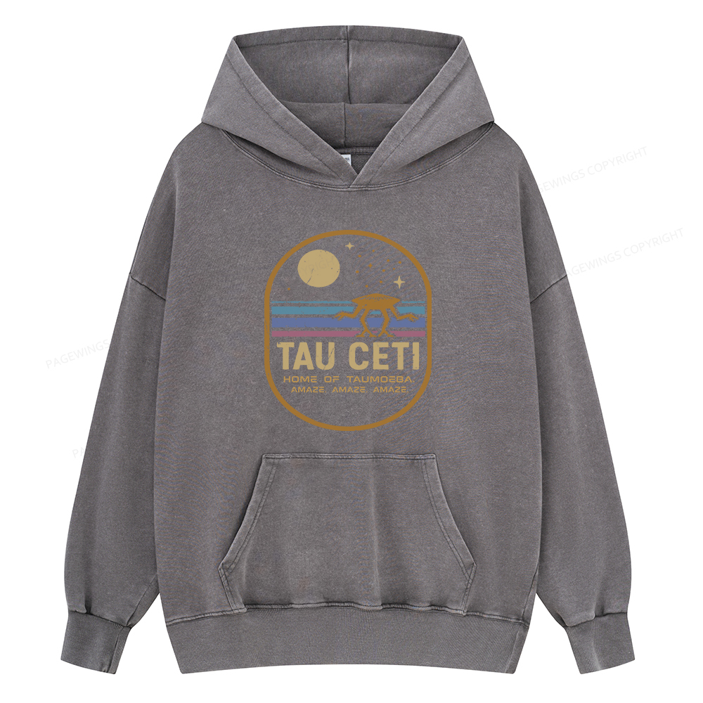 Pagewings Amaze Unisex Washed Hoodie