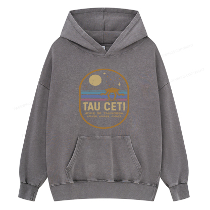 Pagewings Amaze Unisex Washed Hoodie