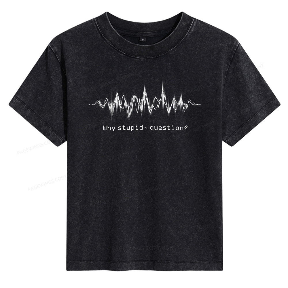 Pagewings Why Stupid Question Women's Washed T-shirt
