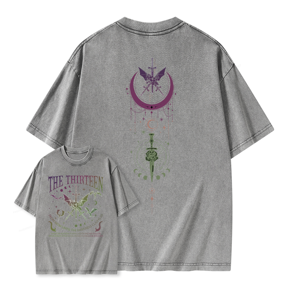 Pagewings Fantasy Books Lover Unisex Washed T-shirt