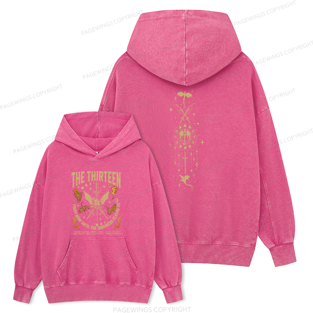 Pagewings Fantasy Reader 11429 Book Unisex Washed Hoodie