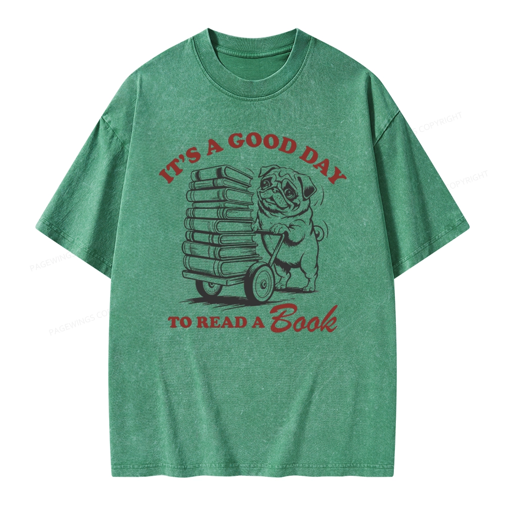 Pagewings Its A Good Day To Read A Book Unisex Washed T-shirt