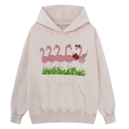 Pagewings  Funny Flamingo Reading Book Unisex Washed Hoodie