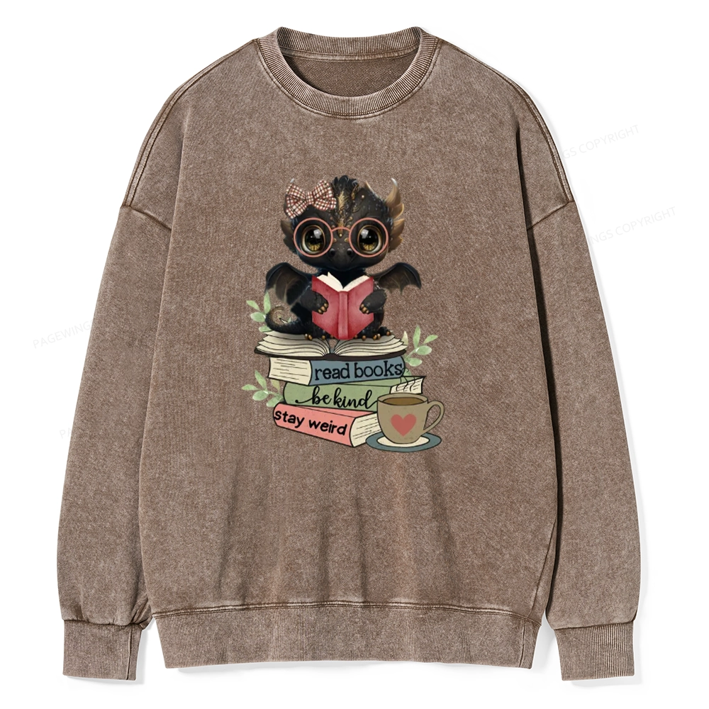 Pagewings Cute Dragon Read Books Be Kind Stay Weird Unisex Washed Sweatshirt
