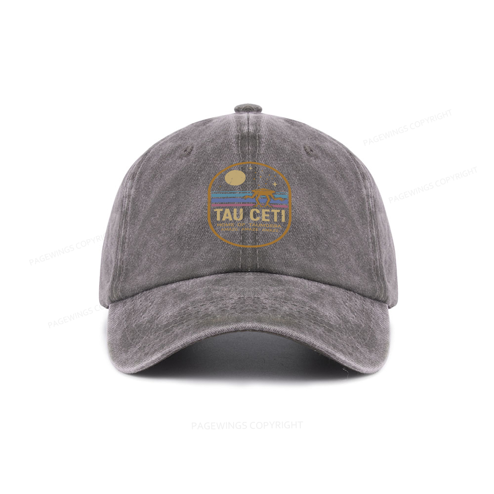 Pagewings Amaze Washed Cap