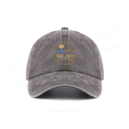 Pagewings Amaze Washed Cap