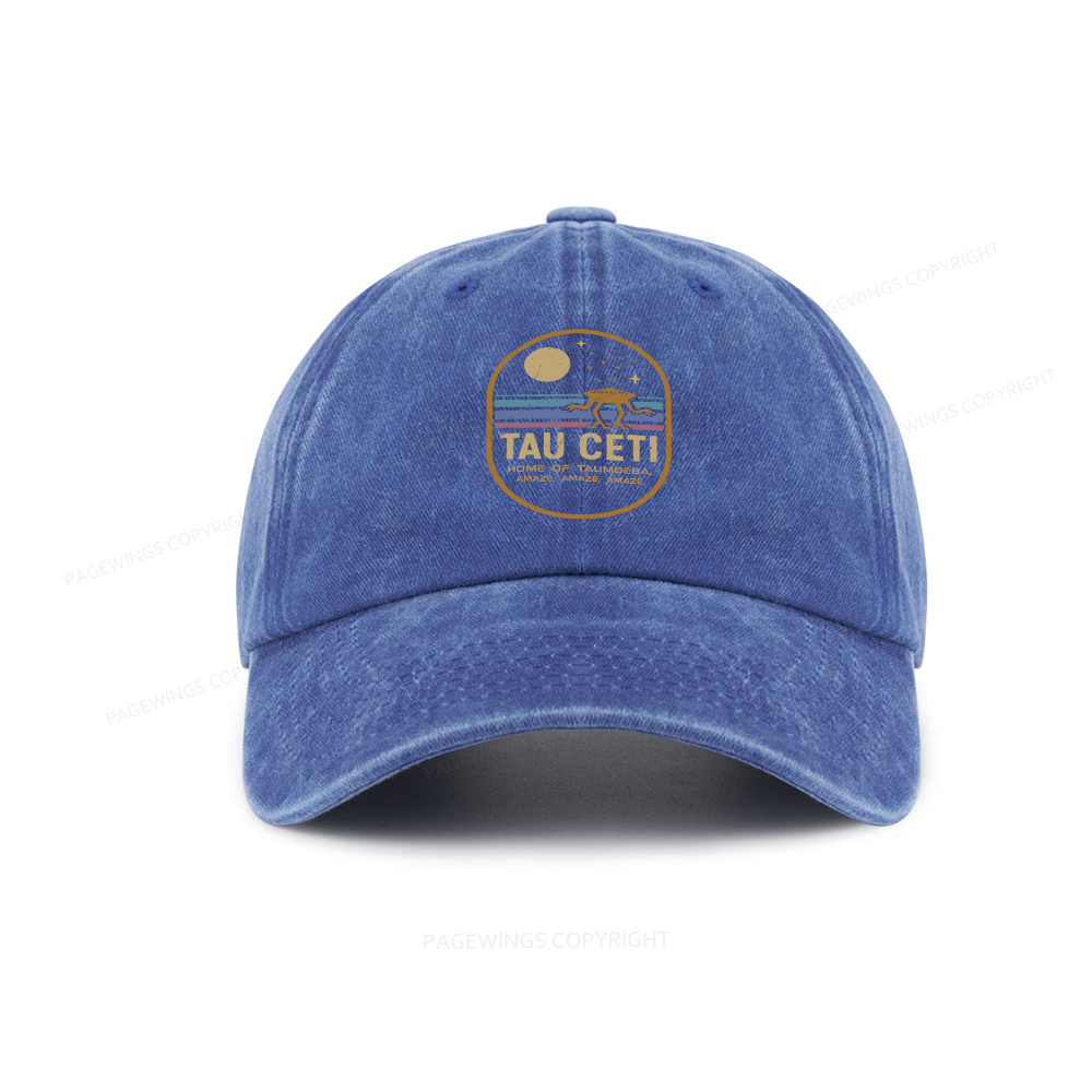 Pagewings Amaze Washed Cap