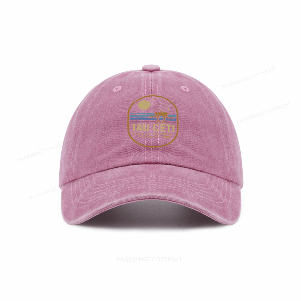 Pagewings Amaze Washed Cap