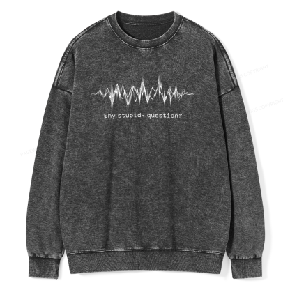 Pagewings Why Stupid Question Unisex Washed Sweatshirt
