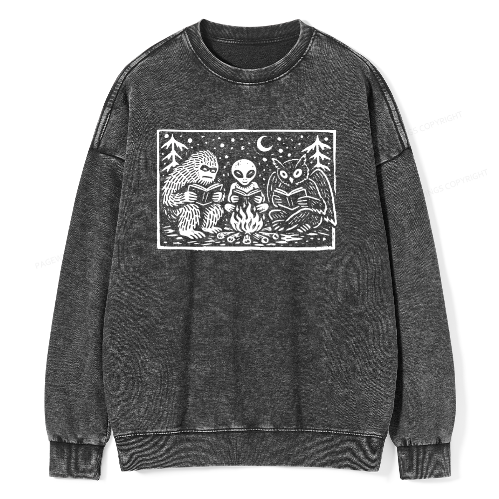 Pagewings Book Lover Unisex Washed Sweatshirt