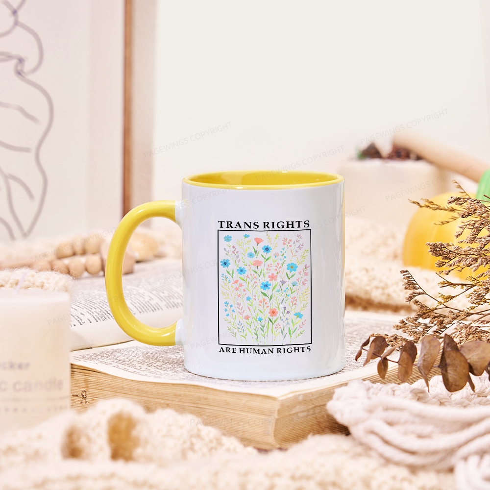 Pagewings Trans Rights Are Human Rights Mug