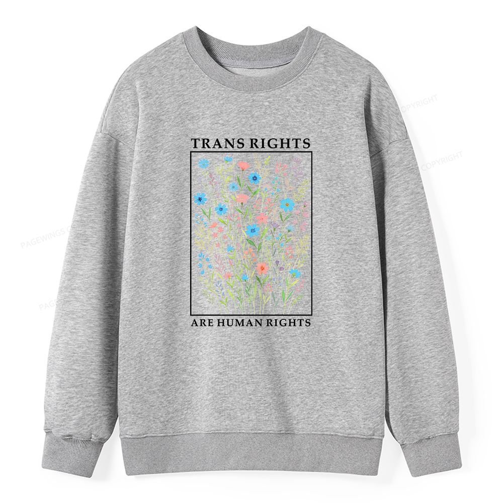 Pagewings Trans Rights Are Human Rights Dragon Book Unisex Classic Sweatshirt