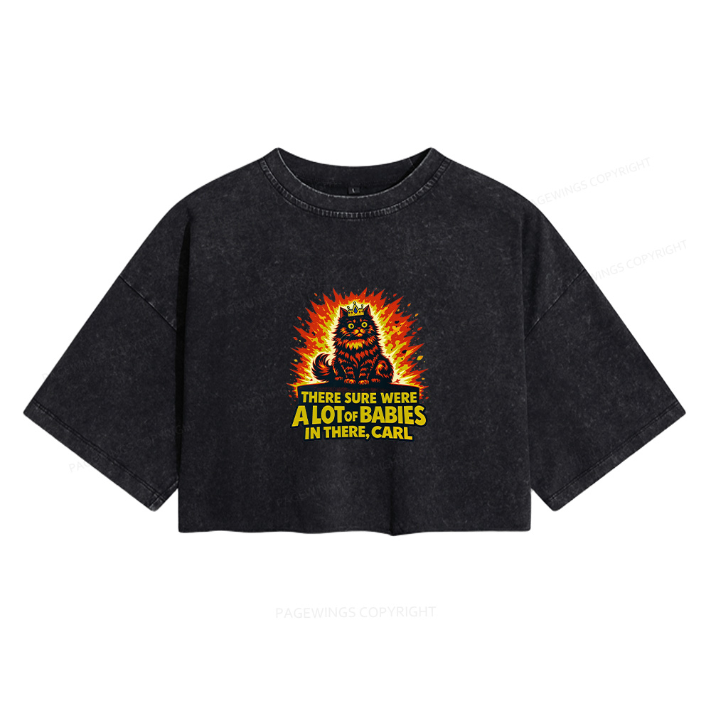 Pagewings Public Parks Libraries Education Broadcasting Women's Washed Cropped T-shirt
