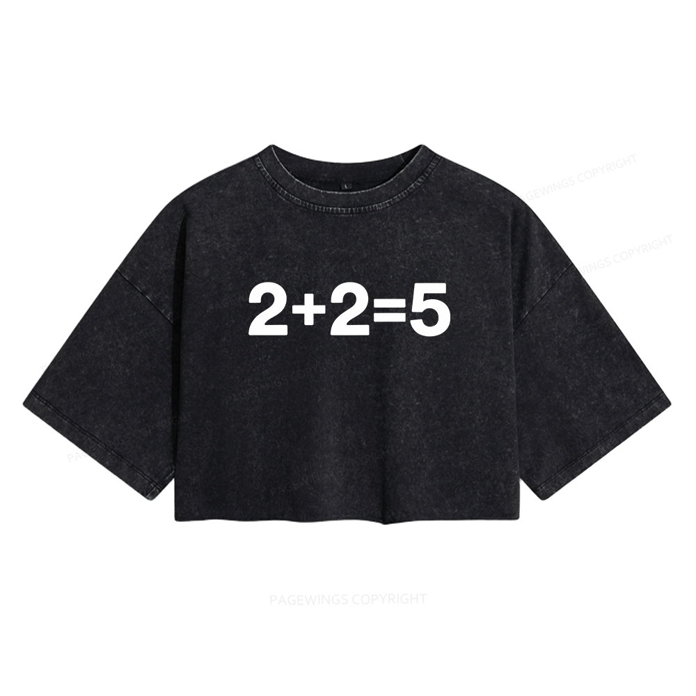 Pagewings Orwell Math Women's Washed Cropped T-shirt