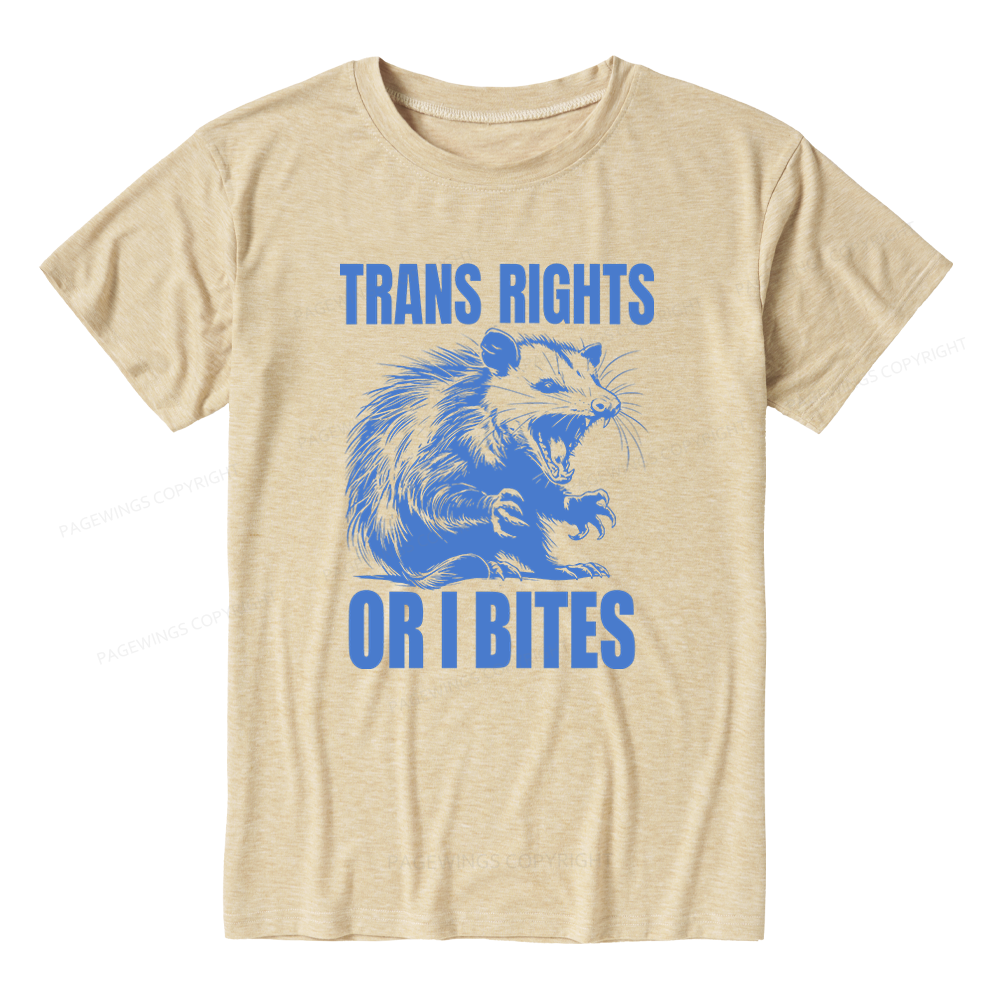 Pagewings Soft Inclusive Trans Rights 15860 Bookish Unisex Heather T-Shirt