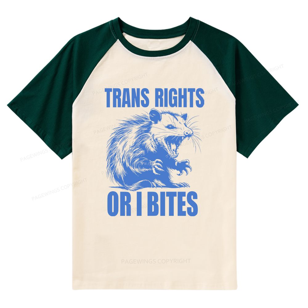 Pagewings Trans Rights 15860 Bookish Raglan T-shirt