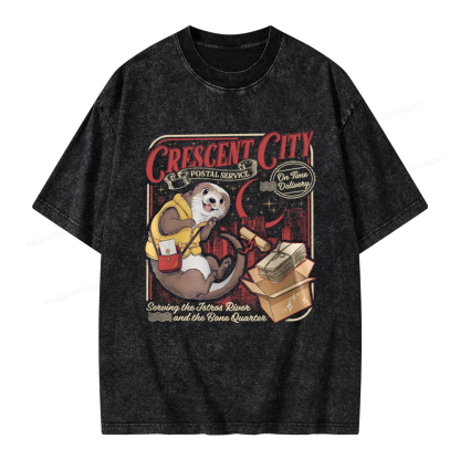 Pagewing Fantasy Book Lover Unisex Washed T-shirt