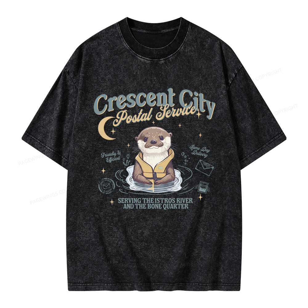 Pagewing Reading Fantasy Bookish Unisex Washed T-shirt