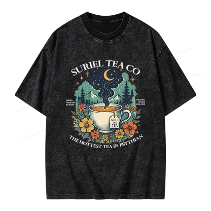 Pagewings Fantasy Bookish Unisex Washed T-shirt