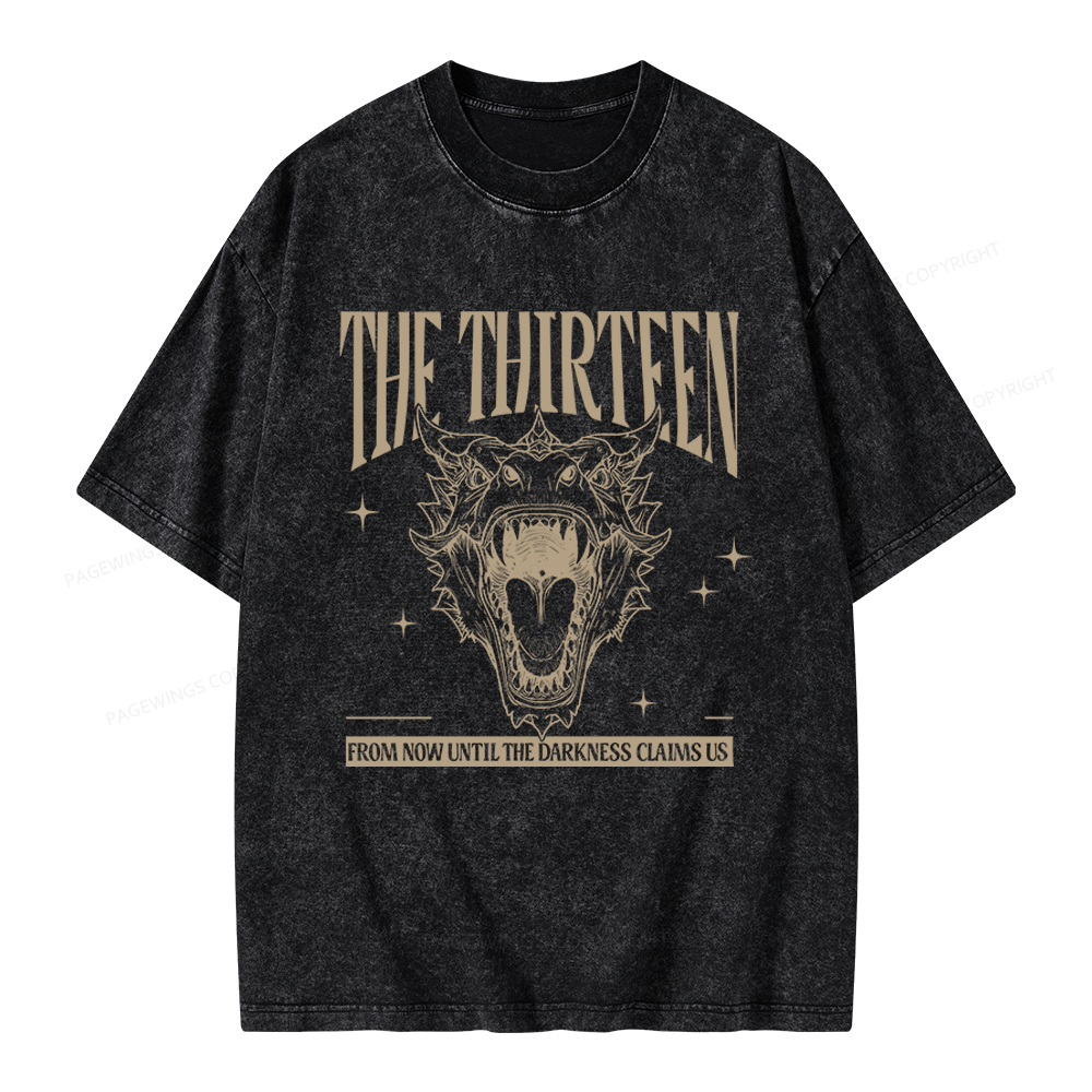 Pagewings Fantasy Bookish Unisex Washed T-shirt