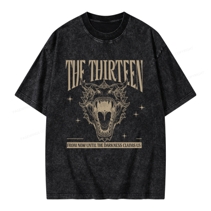 Pagewings Fantasy Bookish Unisex Washed T-shirt