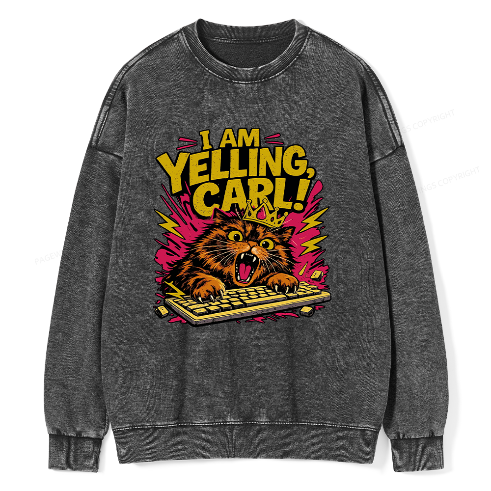 Pagewings Fantasy Book Reader Unisex Washed Sweatshirt