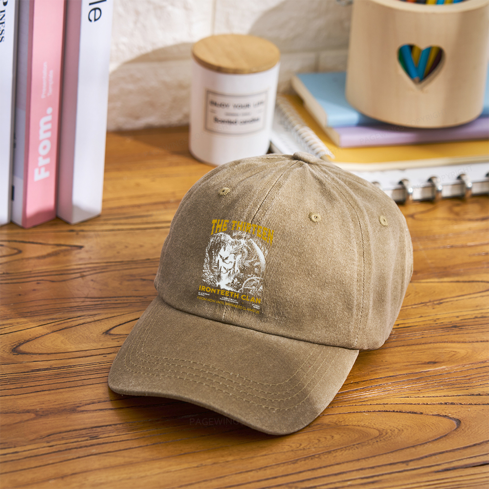 Pagewings The Thirteen Washed Cap