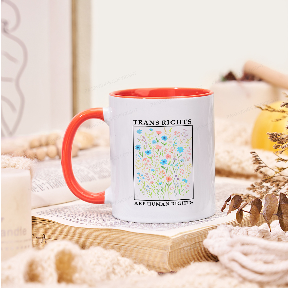 Pagewings Trans Rights Are Human Rights Mug