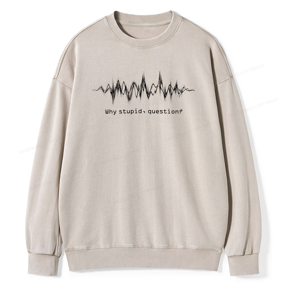 Pagewings Why Stupid Question Unisex Washed Sweatshirt