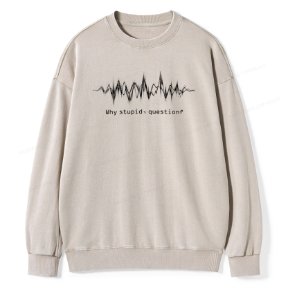 Pagewings Why Stupid Question Unisex Washed Sweatshirt
