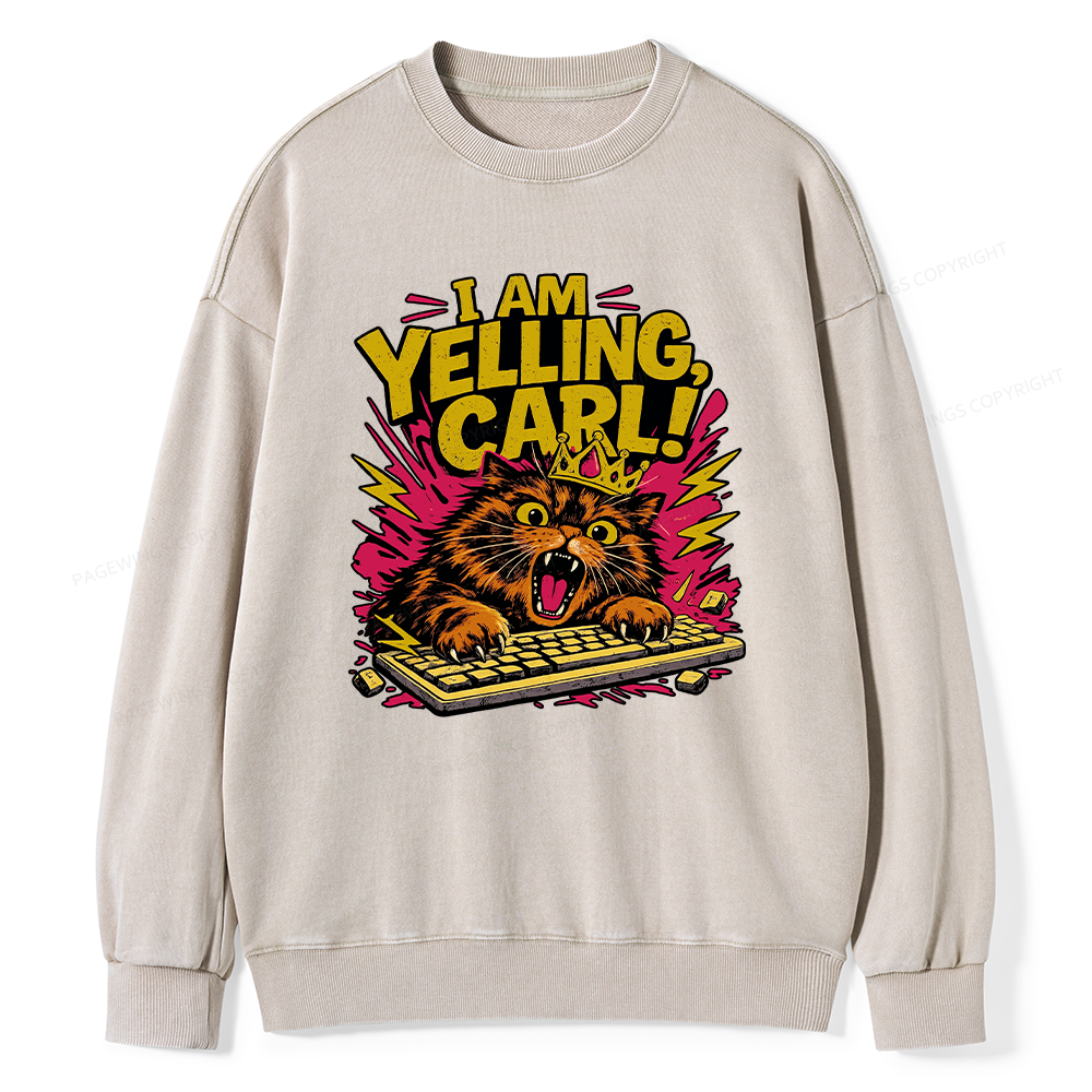Pagewings Fantasy Book Reader Unisex Washed Sweatshirt