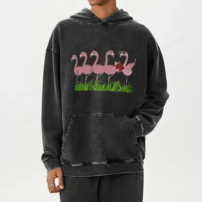 Pagewings  Funny Flamingo Reading Book Unisex Washed Hoodie