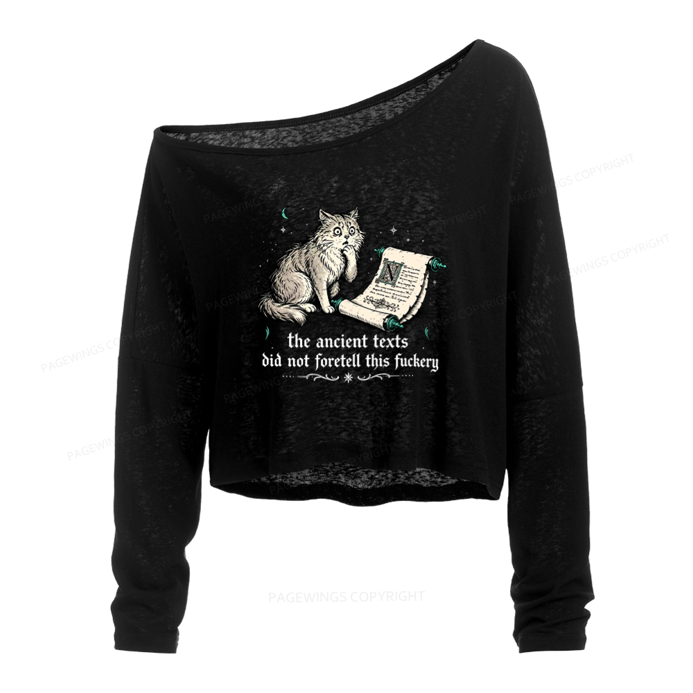 Pagewings Funny Medieval Cat Slouchy Long Sleeve Off Shoulder T-shirt
