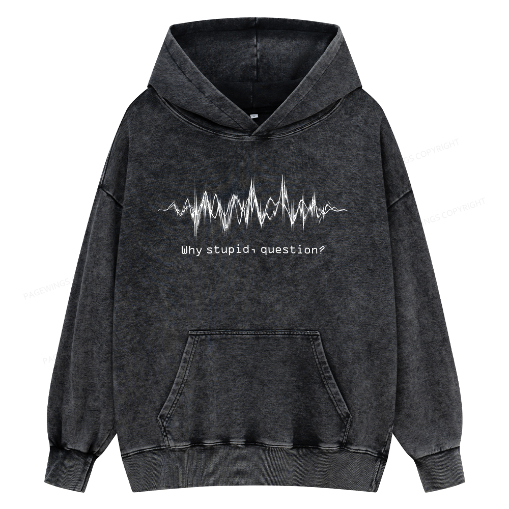 Pagewings Why Stupid Question Unisex Washed Hoodie