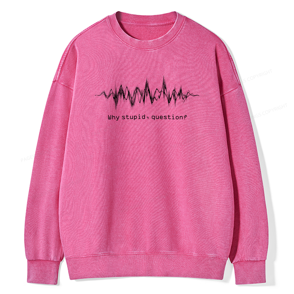 Pagewings Why Stupid Question Unisex Washed Sweatshirt