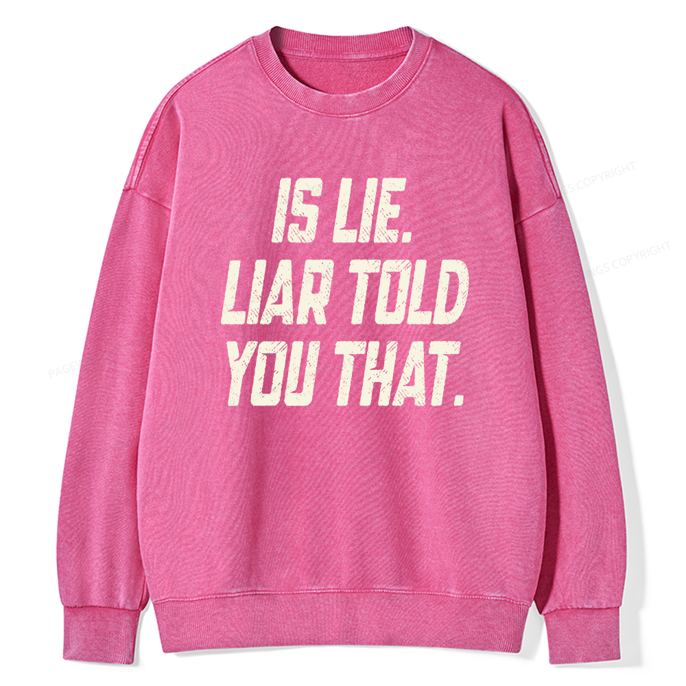 Pagewings Is Lie Liar Told You That Unisex Washed Sweatshirt