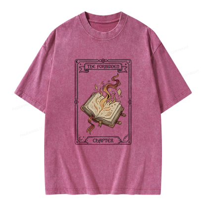 Pagewings The Forbidden Chapter Unisex Washed T-shirt