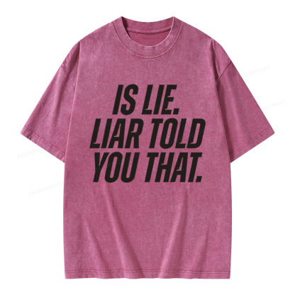 Pagewings Is Lie Liar Told You That Unisex Washed T-shirt
