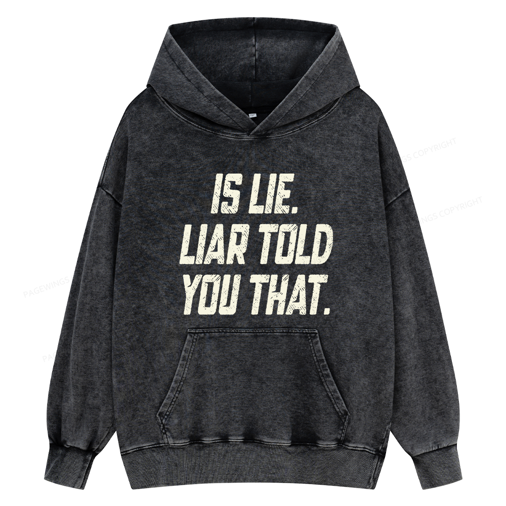 Pagewings Is Lie Liar Told You That Unisex Washed Hoodie