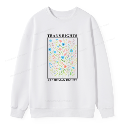 Pagewings Trans Rights Are Human Rights Dragon Book Unisex Classic Sweatshirt