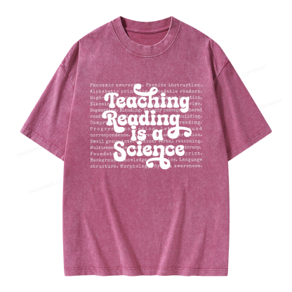 Pagewings Science of Reading Literacy Unisex Washed T-shirt