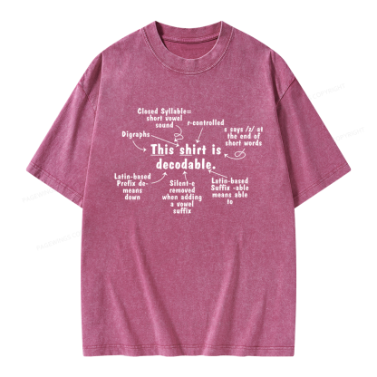 Pagewing This Shirt Is Decodable Unisex Washed T-shirt