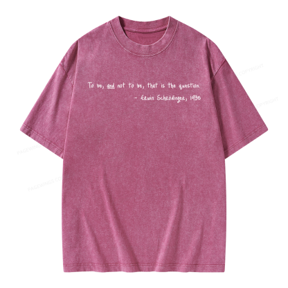 Pagewing Shakespeare meets Schrodinger Unisex Washed T-shirt
