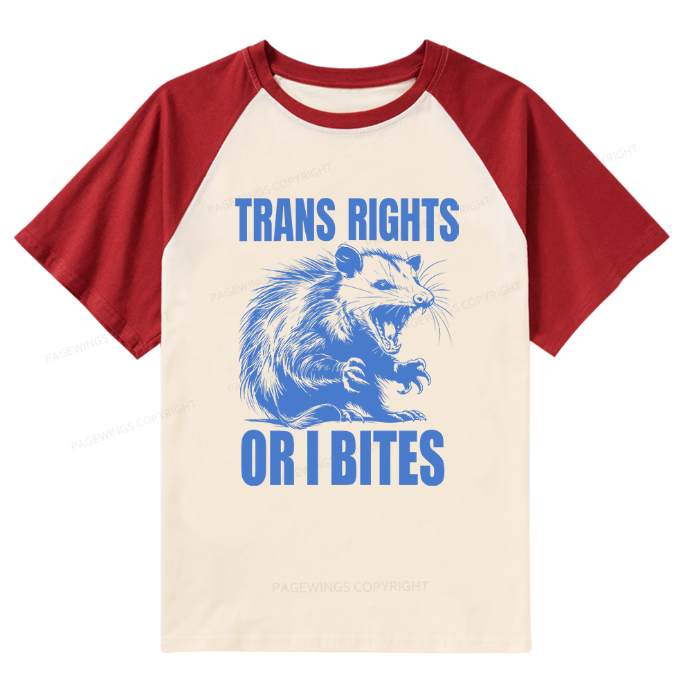 Pagewings Trans Rights 15860 Bookish Raglan T-shirt