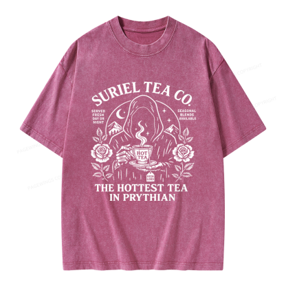 Pagewing Reading Fantasy Bookish Unisex Washed T-shirt